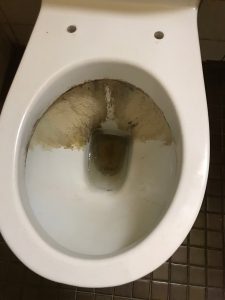 wc entkalken