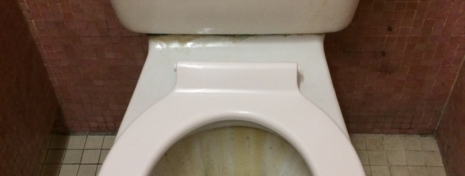 WC Spülung läuft Machen Sie den einfachen Test RESTCLEAN